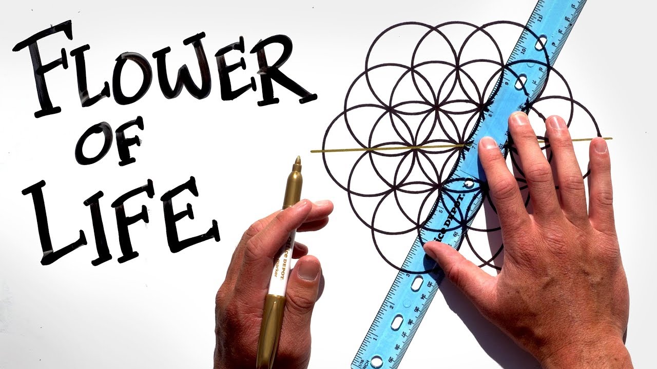 Drawing Sacred Geometry The Pattern Of Creation