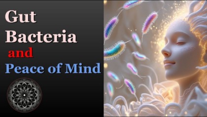 Gut Bacteria And Peace Of Mind