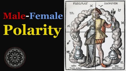 Male Female Polarity