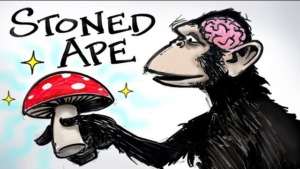 Stoned Ape & Fungal Intelligence – Paul Stamets