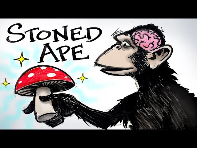 Stoned Ape & Fungal Intelligence – Paul Stamets